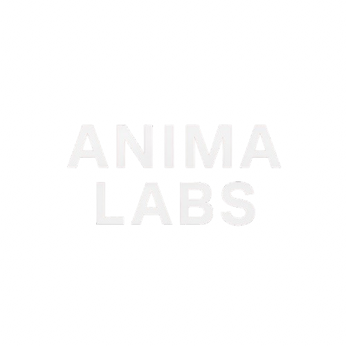 Anima Labs - Intelligence in Motion